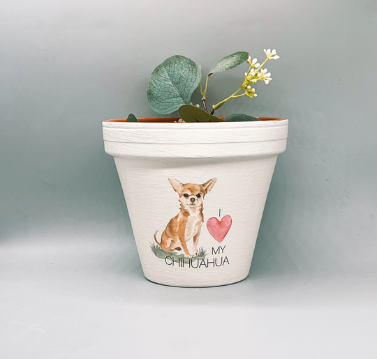 Personalised Chihuahua Dog Plant Pot Gift .dog Memorial Keepsake Flower Planter. Dog Lovers Gift. Birthday Pedigree Pet Pot
