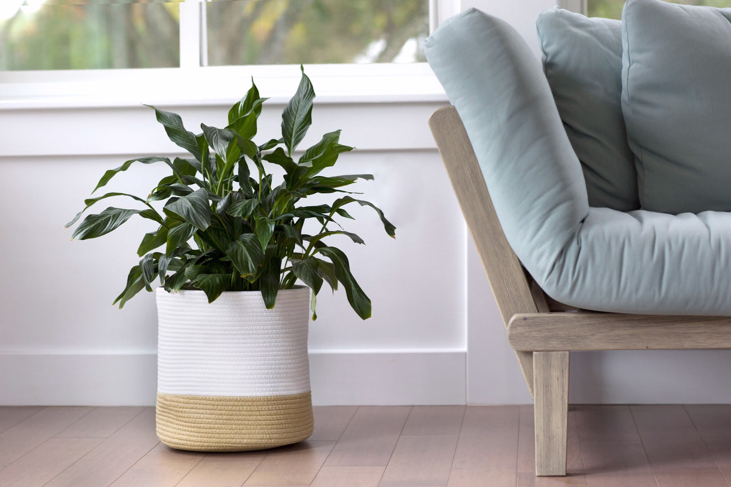 Large Planter Basket, Indoor Basket For Plants, Plant Pot Pair With Our Mid Century Modern Stand