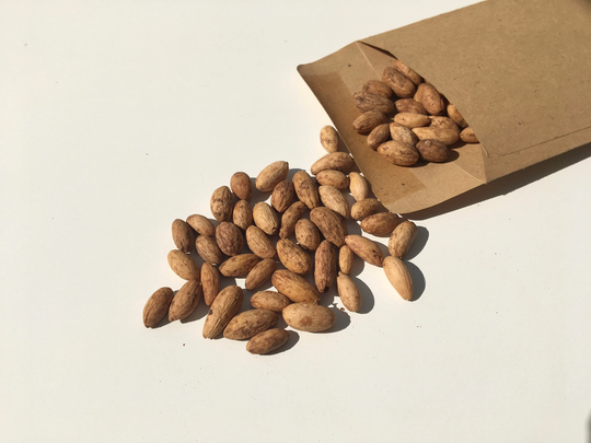 Olive Tree Bonsai Seeds