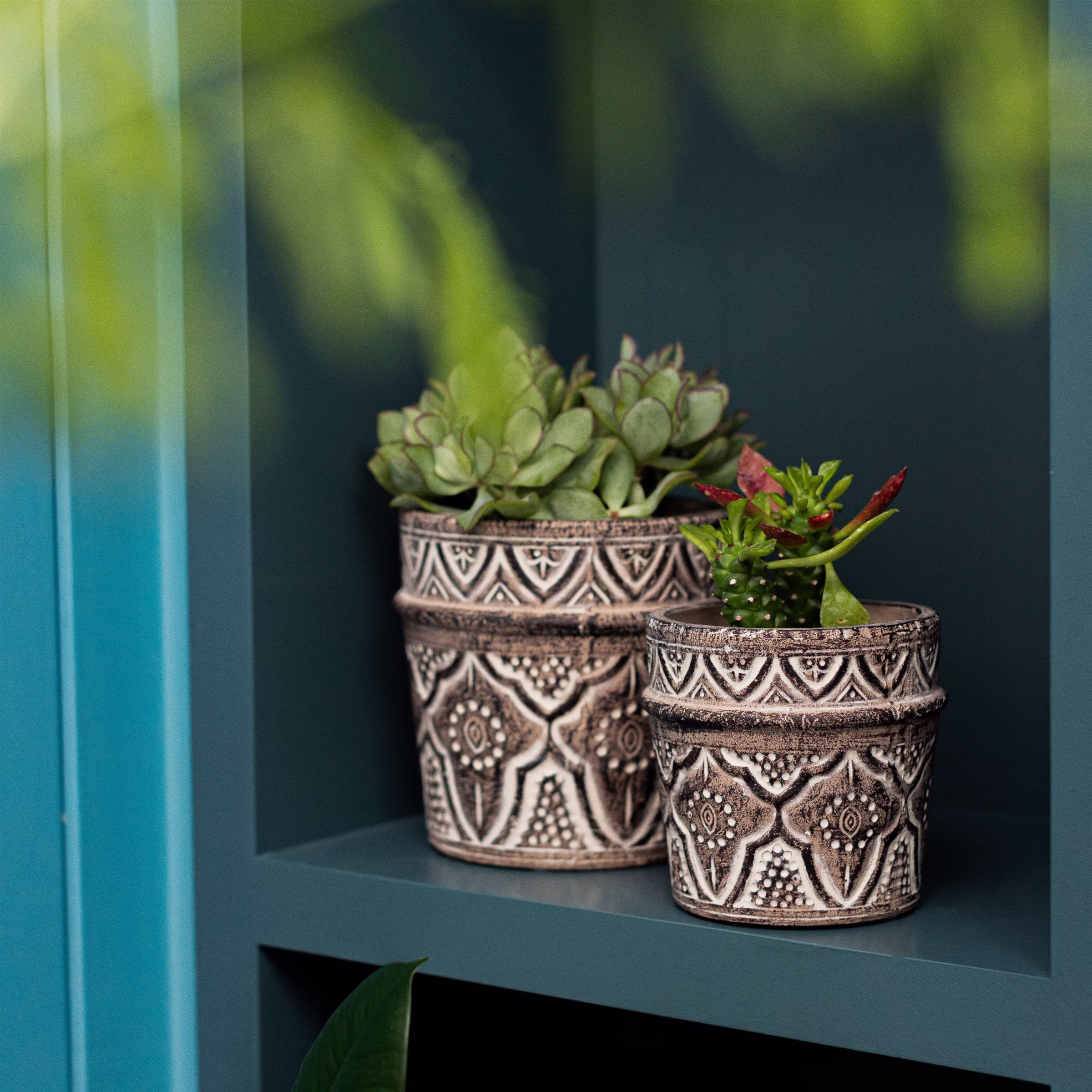 Amina Planter Indoor Plant Pot