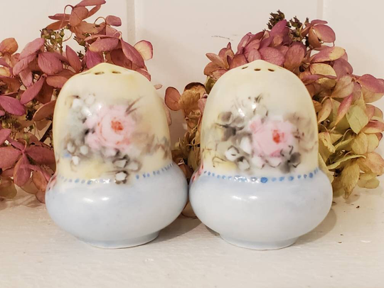 Antique Salt Pepper Shakers, Austria Porcelain, Gift