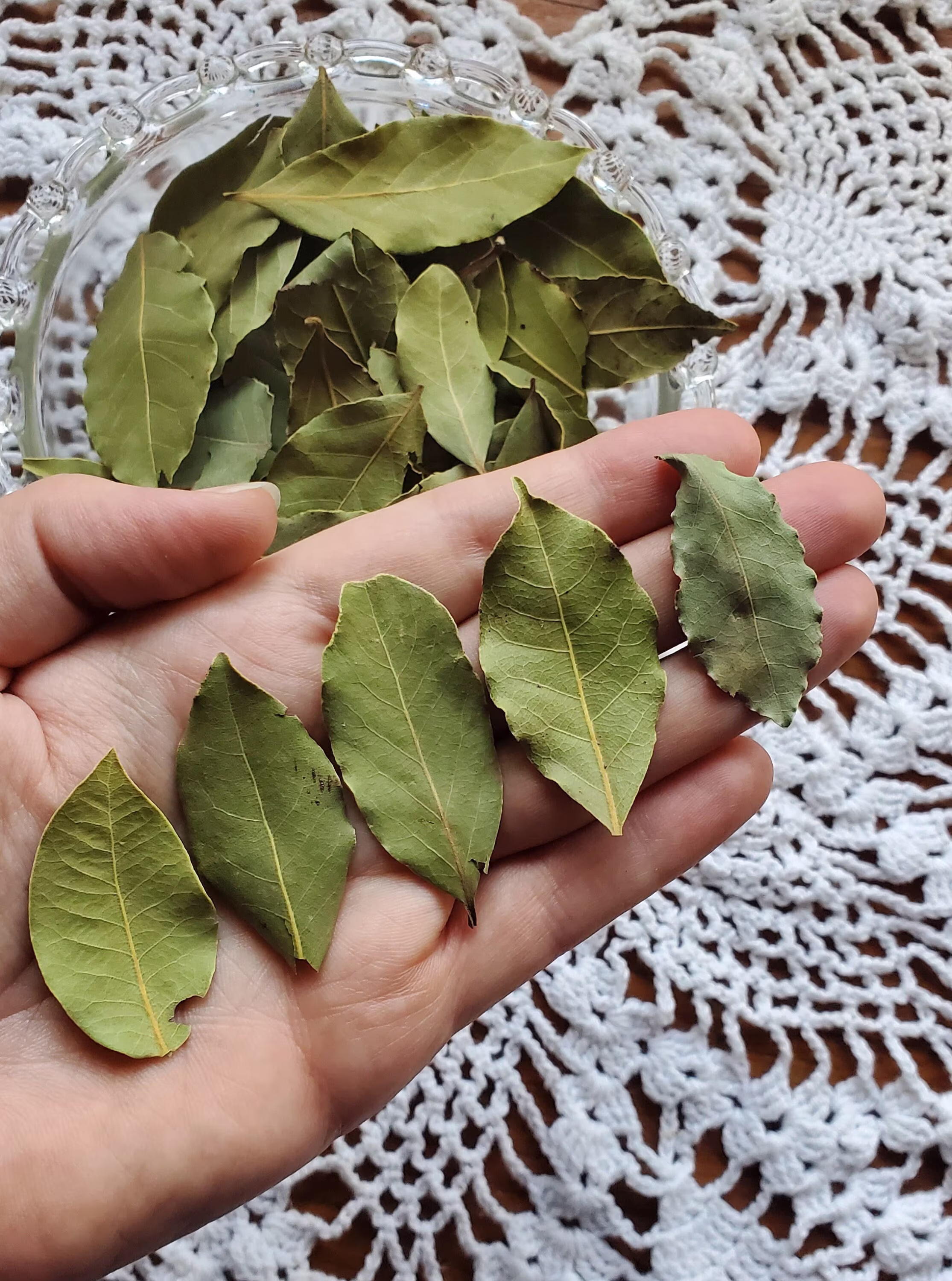 Bay Leaves Whole - Herb - Spells - Manifest - Banish - Protection