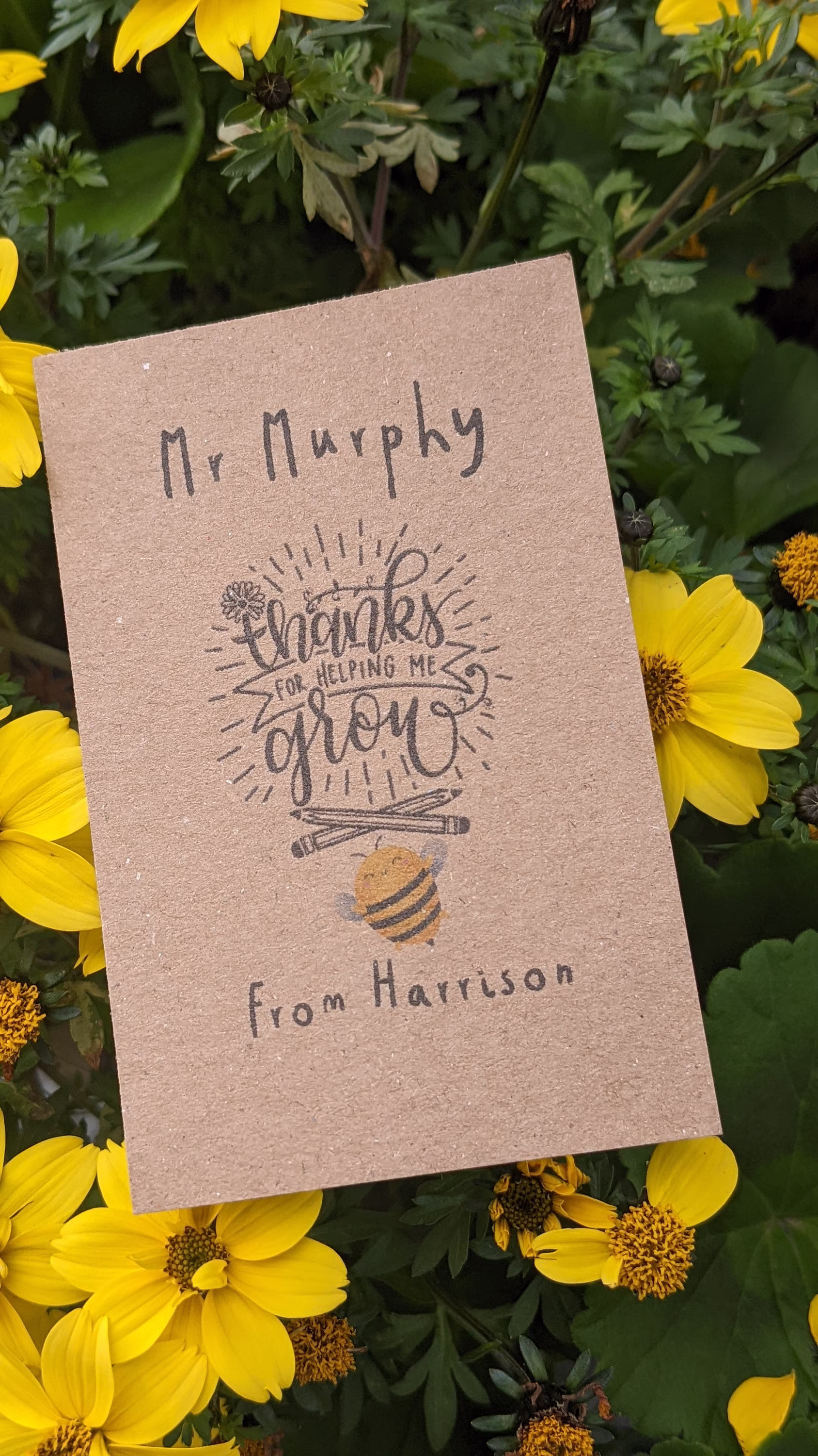 Personalised Helping Me Grow Teacher /Ta End Of Term Bee Friendly Seed Packets Contains Seeds