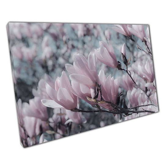 Print On Canvas Powder Pink Tulip Magnolia Tree Ready To Hang Wall Art Picture For Home Office Decor