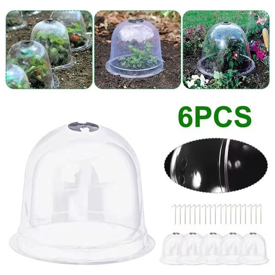6 Pack Garden Plant Cloches 26cm x 20cm Reusable Plastic Mini Greenhouse with Frost Guard - Includes 10 Plant Tags, 18 Fixing Pins.