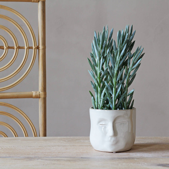 White 'Abstract' Face Planter