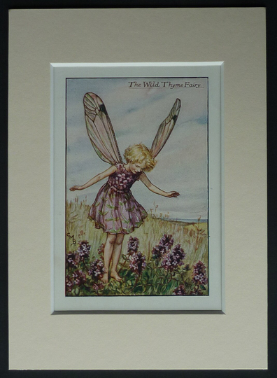 The Wild Thyme By Cicely Mary Barker, 1925 Print - Flower Fairies Of Summer Matted To Fit 7" X 5