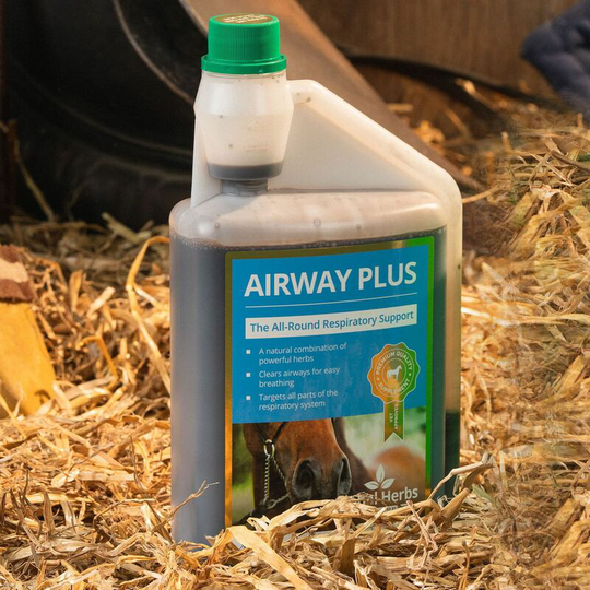 Global Herbs - Airwayplus - 1 Lt - AIRWAYPLUSLIQ1L