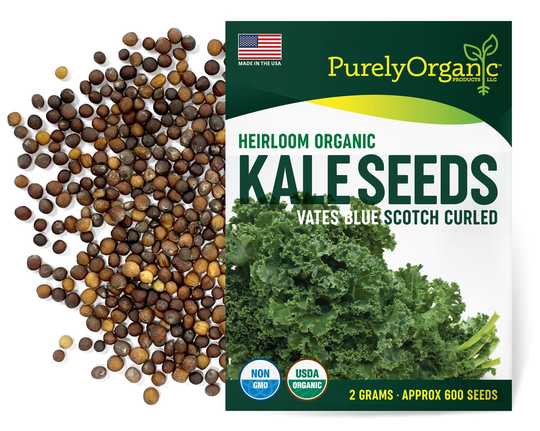 Purely Organic Heirloom Kale Seeds | Vates Blue Scotch Curled