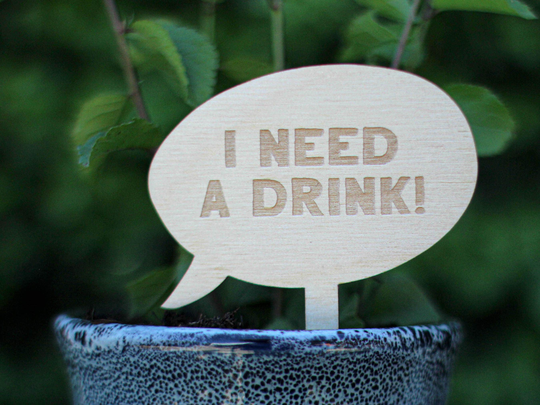Personalised Plant Labels - Gardening Gift Garden Maker Sign Marker Speech Bubble Pot Lover