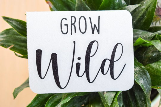 Grow Wild Planter Decal Only | Plant Pun Customize Your Own Planter For Lovers