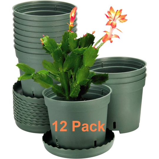 Briday - 12 Pack Plant Pots, 6 inch Plastic Pots for Plants with Drainage Hole and Trays, Plants not Included