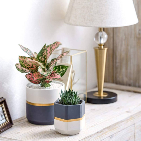 Pack Of Two Ceramic Indoor Planters Gardening Pots