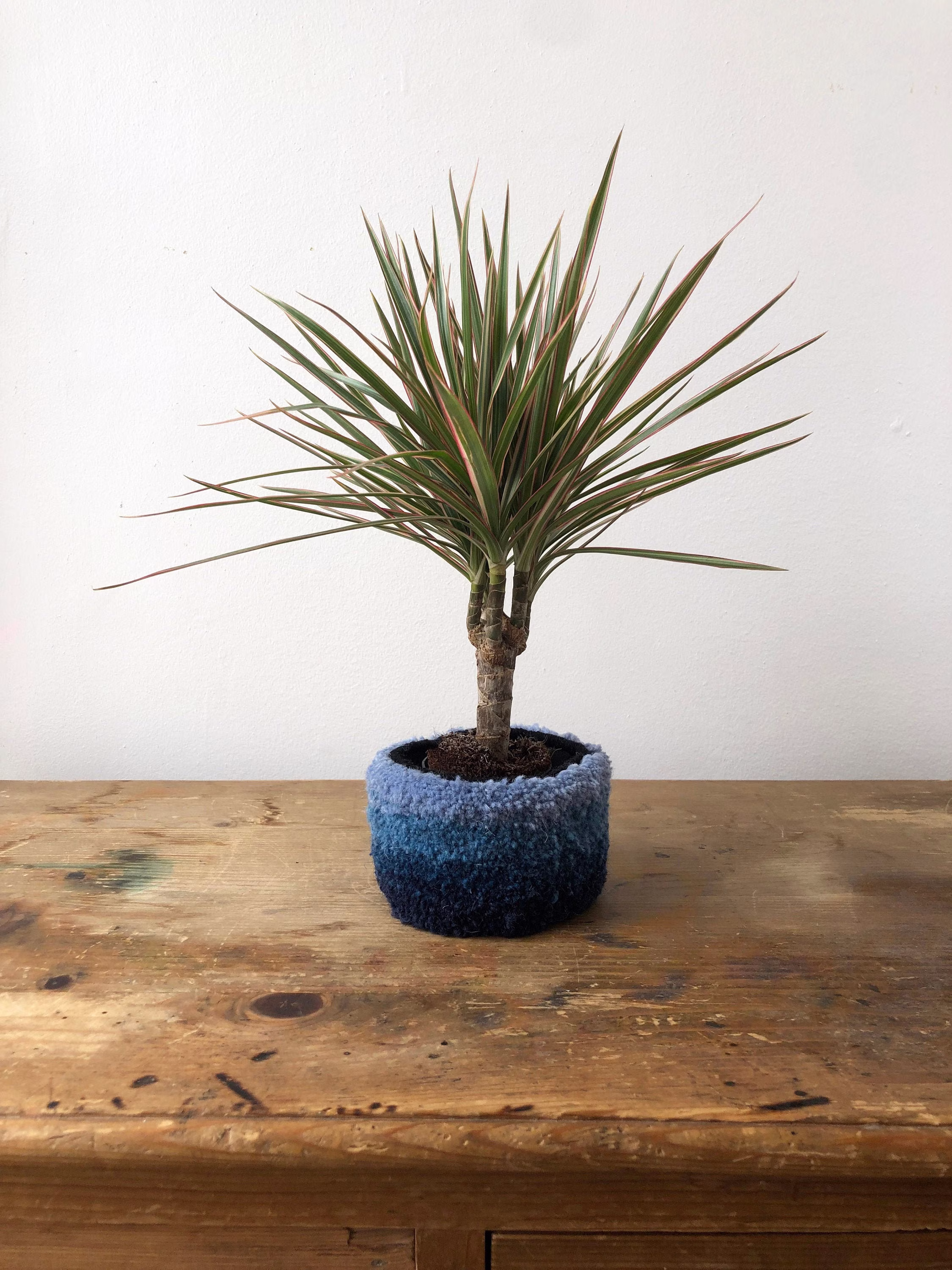 Azurite Tufted Plant Pot - Blue Gradient | Extra Small Size