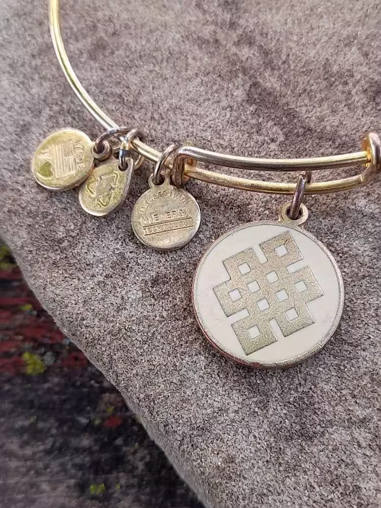 Alex & Ani Endless Knot Charm Bangle Bracelet