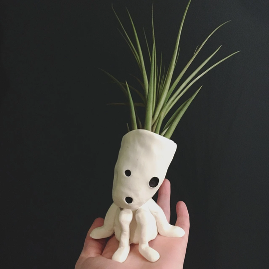 Kodama Air Plant Planter