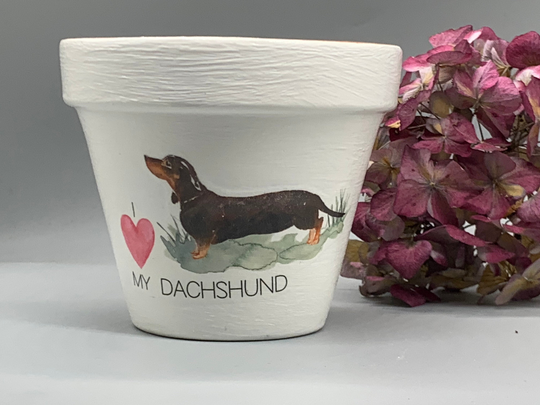 Personalised Dachshund Dog Plant Pot Gift .dog Memorial Keepsake Flower Planter. Dog Lovers Gift. Birthday Pet Pot