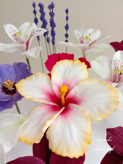 Sets Of Sugar Hibiscus Flowers, Made To Order Cake Topper, UK Supplier