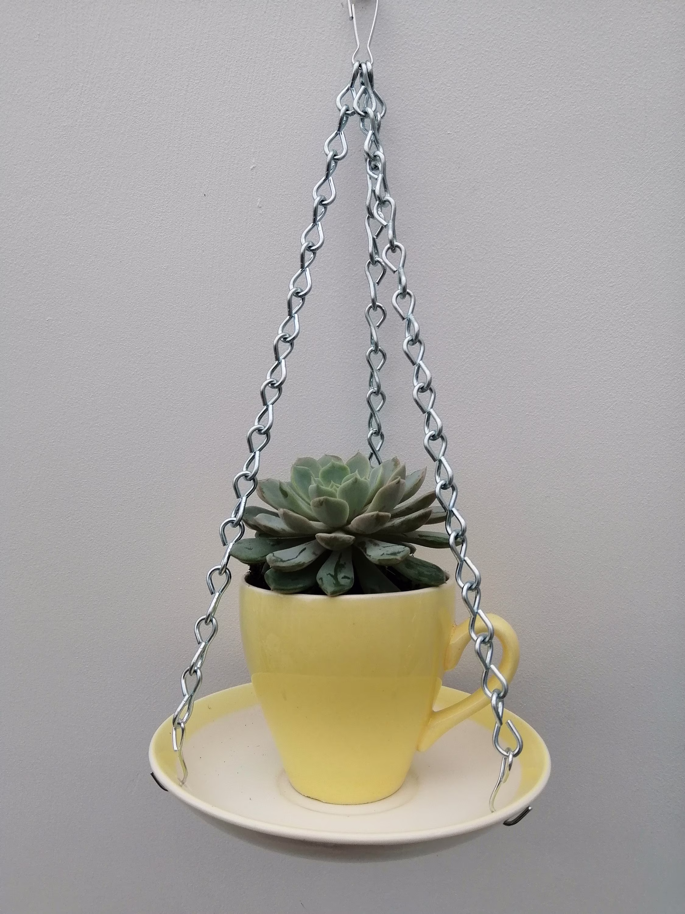 Lovely Ceramic Indoor/Outdoor Teacup Hanging Basket/Planter in Yellow. Made From Vintage Bilton's Teacup & Saucer. Gift