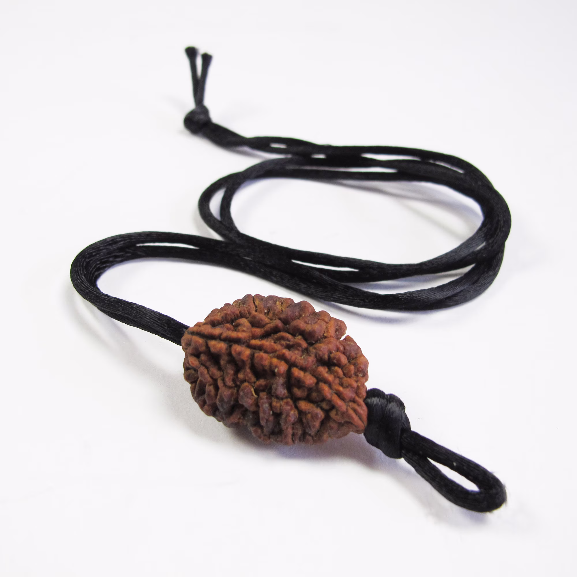 Single Rudraksha Seed
