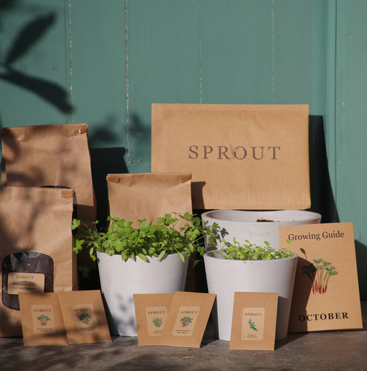 Grow Your Own Eco Friendly Herbs And Microgreens