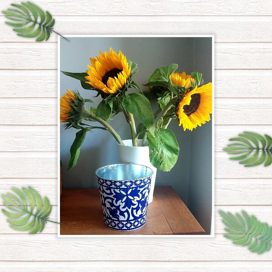 Portuguese Flowerpot - Blue & White Design