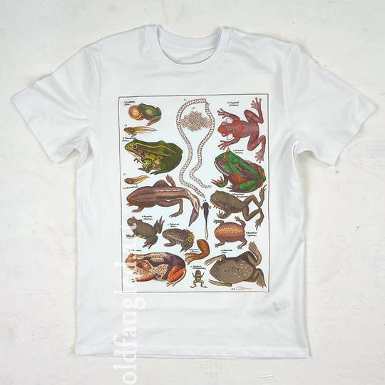 Frogs | 1843 - Unisex Organic T-Shirt, Vintage Style Zoology T-Shirt, Frog T-Shirt