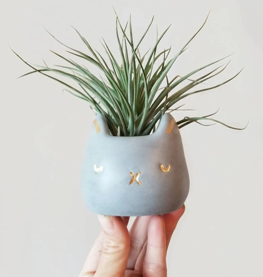 Made To Order Cat Planter/Succulent Planter/Air Plant Holder/Black Planter/Home Decor/Office Decor/Housewarming Gift/Cat Mom/Animal Planter
