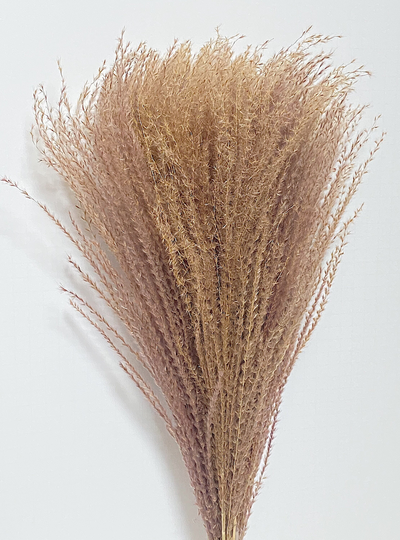 Pampas Grass Horsetail Whisk, Preserved Flowers, House Decor, Wedding, Pampas, Fluffy, Natural, Fall, Feather, Wheats & Grass, Short, Long