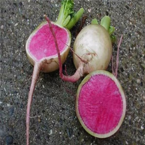 Radish Seeds Red Heart