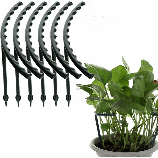 Plastic Arching Plant Stakes - Garden Plant Support - For Roses Tomatoes,,Pack of 12