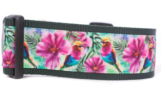 Tropical Hummingbird Dog Collar - 2 Inch Wide Buckle Or Martingale Collar Nature Hawaiian Floral Dog Hibiscus Birds
