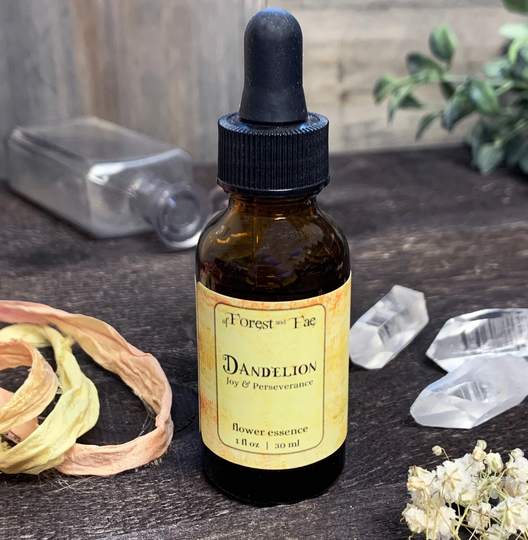 Joy & Perseverance - Dandelion Flower Essence | Energy Work Earth Magick Herbal Infusion Tincture Herb Herbalist Warding