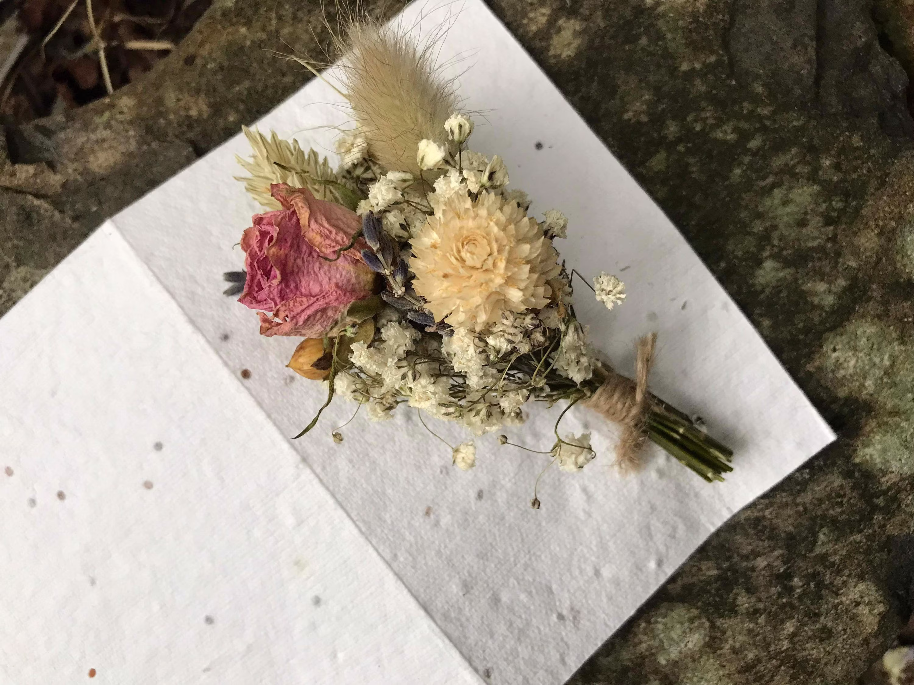 Plantable, Seed Paper Card, Birthday Dried Flowers, Letterbox Buttonhole, Brooch, Boutonnière, Gifts For Mum