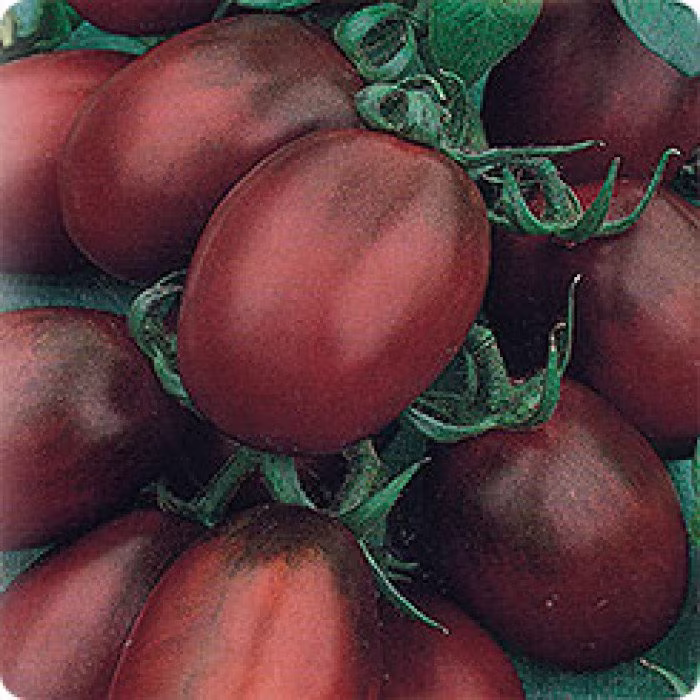 Seeds Tomato De Barao Giant Black Late Fragant Juicy Tasty Vegetable Seeds From Ukraine