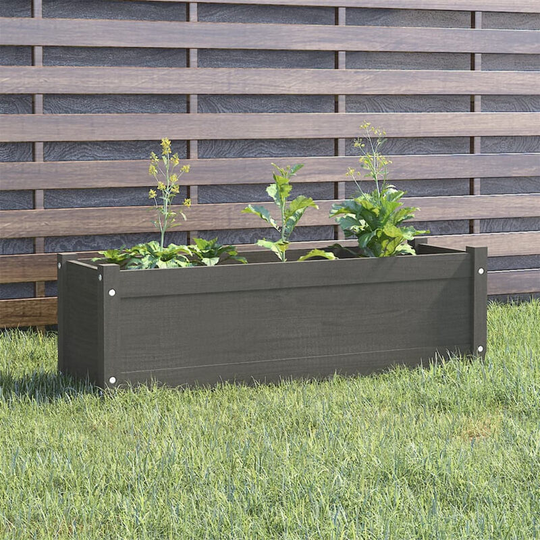 Garden Planter Grey 100x31x31 cm Solid Pinewood