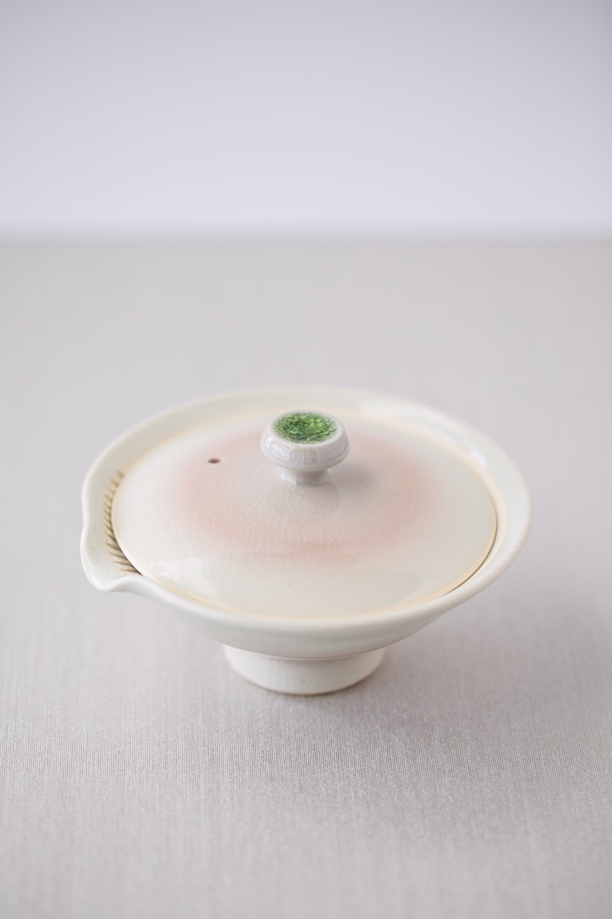 Japanese Handcrafted/ Shigaraki Teapot/70 Ml - Zandaka