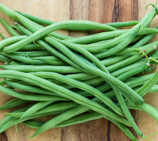 Top Crop Green Bean Seeds - Bush Organic & Non Gmo Beans Heirloom Fresh Usa Grown Grow Your Own At Home