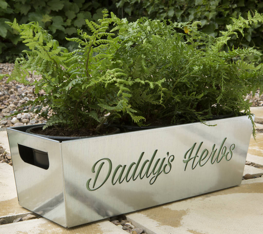 Daddy's Herbs Metal Planter, Blue/Pale Green/Green