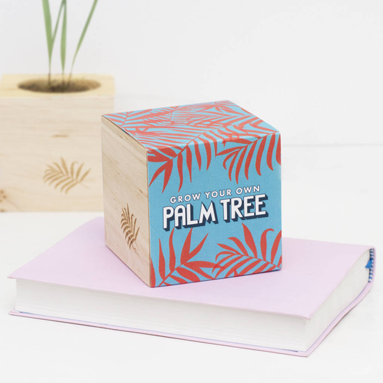 Grow Your Own Palm Tree