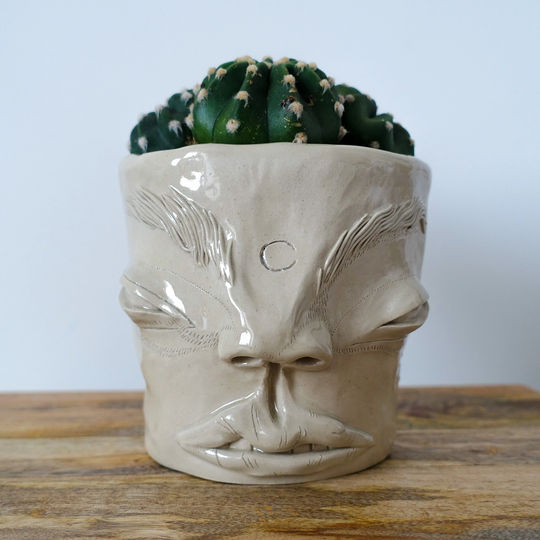 Paula - Unique Flower Vase, Plant Lover Gift, Herb Planter, Weird Stuff, Funny Unique Succulent Pots
