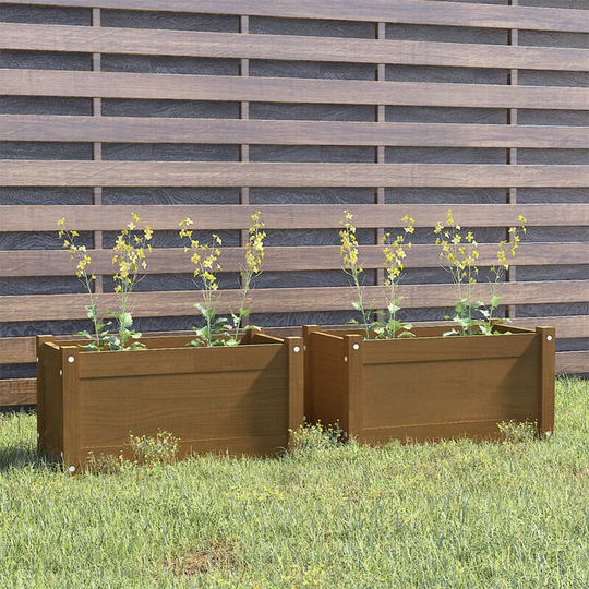 Asupermall - Garden Planters 2 pcs Honey Brown 60x31x31 cm Solid Pinewood