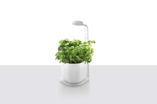 Genie Indoor Herb Garden Planter