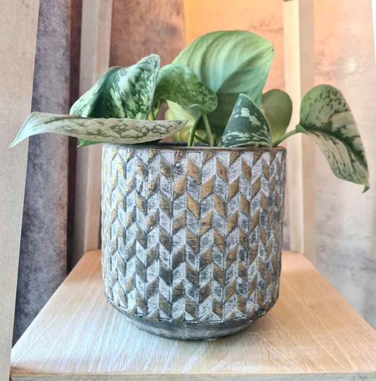 Concrete Ancient Gold Planter Gift