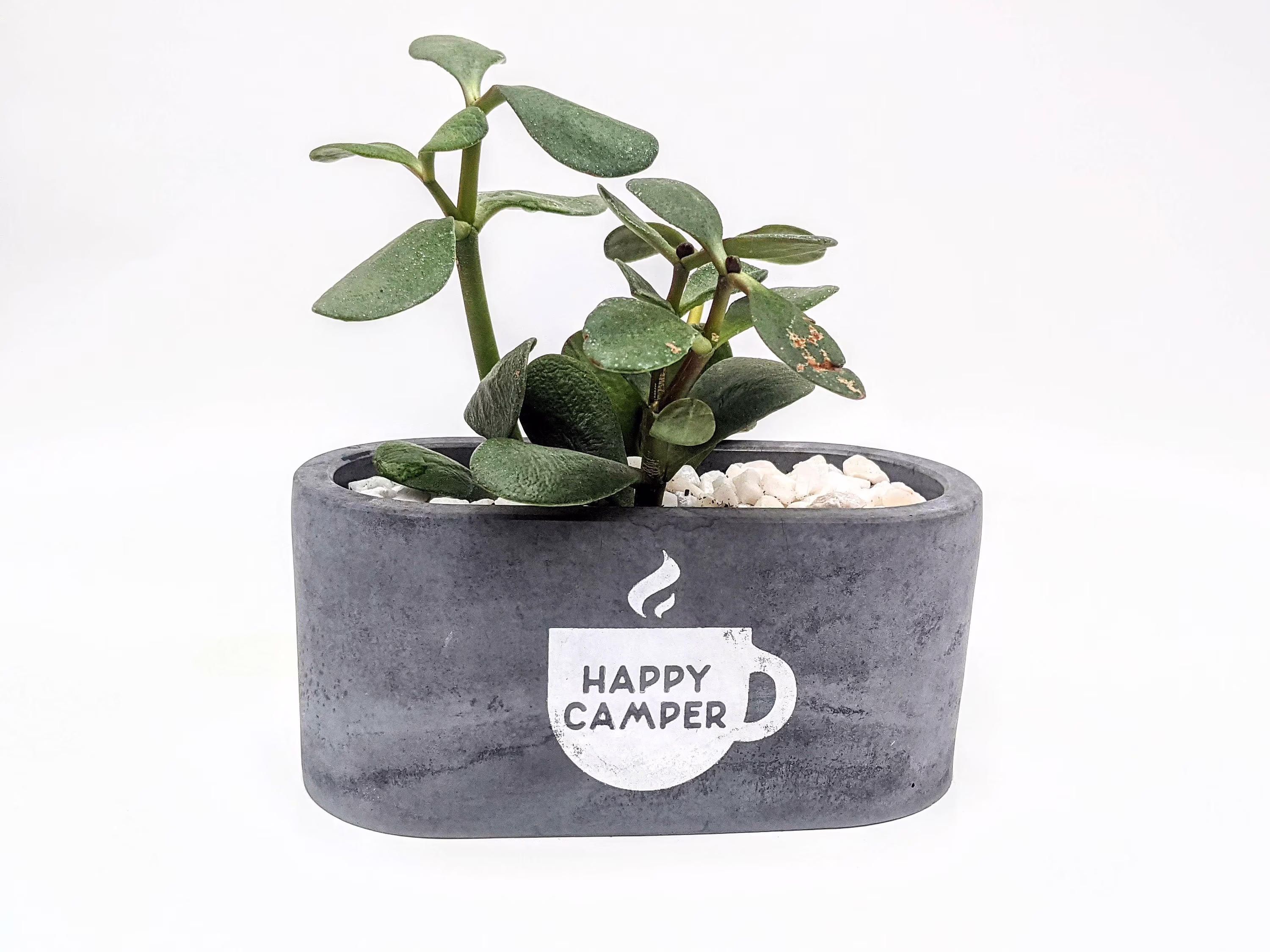 Happy Camper Black Concrete Oval Succulent Planter | Trendy Flower Pot