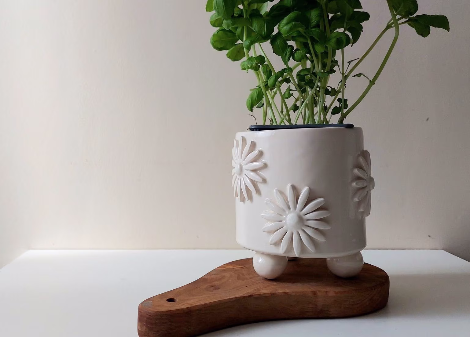 Plant Pot, Indoor Planter, Herb Ceramic Home Decoration