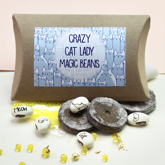 Magic Crazy Cat Lady Bean Grow Set