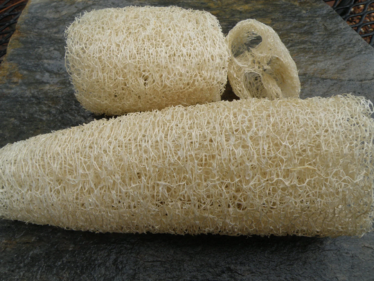 Luffa Gourd Seeds, Natural Sponge Organically Grown Seeds