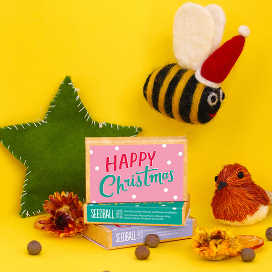 Three Happy Christmas Large Wildflower Seed Boxes