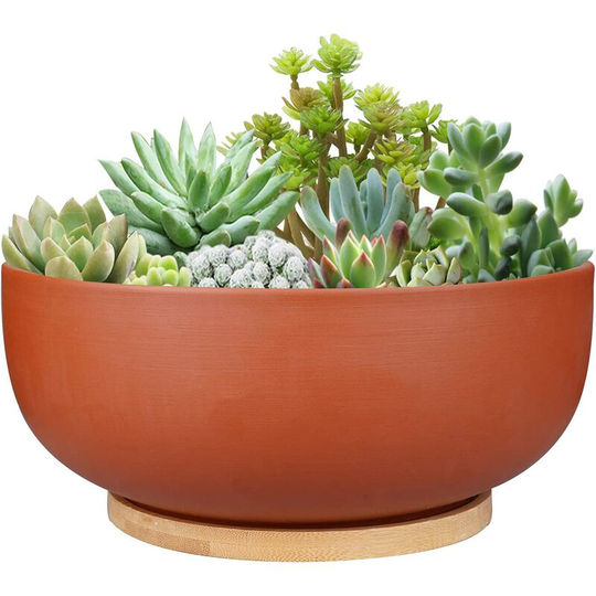 Large 25cm Round Terracotta Flower Pot with Drainage Hole and Bamboo Saucer for Indoor Plants, Terracotta Color